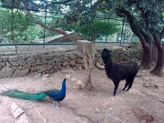 183 D21 SANARY SUR MER 1_000029